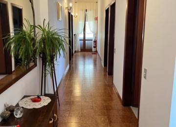 Vinci terratetto libero su tre