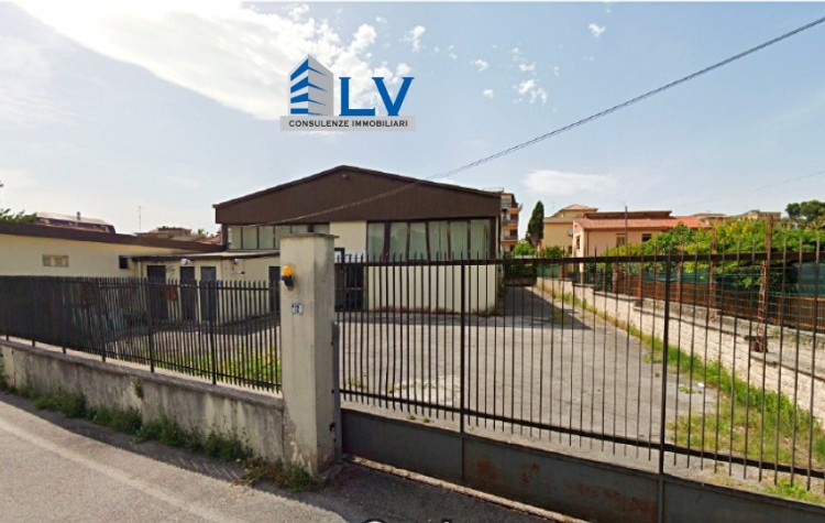 Immagine 1