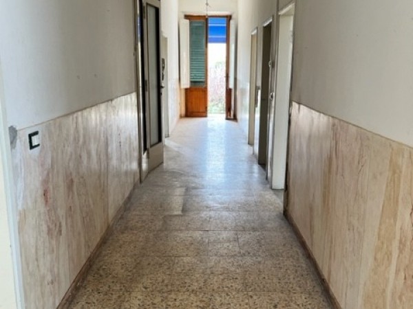 Spicchio