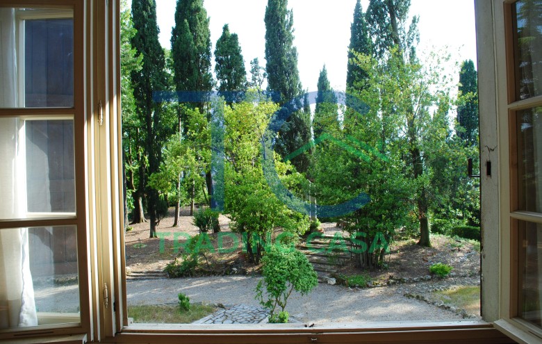 Immagine 13 