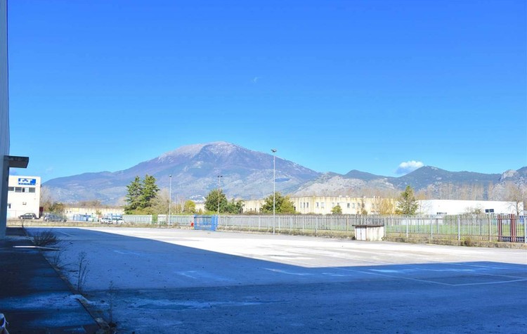 Immagine 2