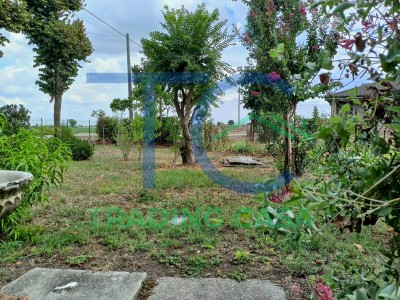 Casa Indipendente in Vendita a Caorso 1 