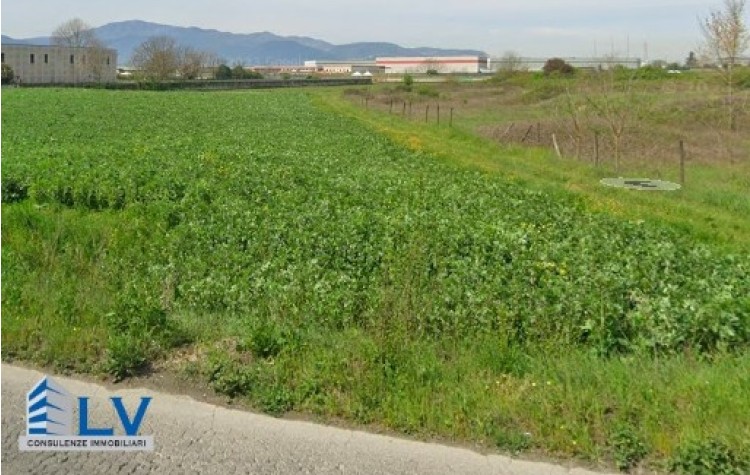 Immagine 2 