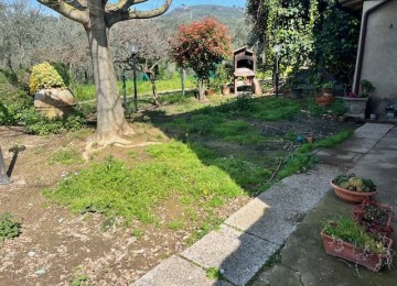 Vinci, 3 km in collina terrate