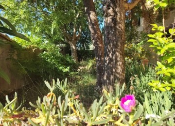 Vinci, 3 km in collina terrate