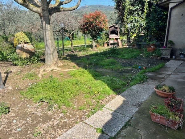 Vinci, 3 km in collina terrate...