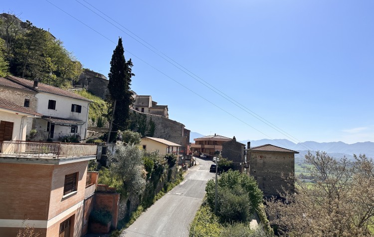 Immagine 2